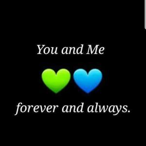 Meet your Posher, Stephenncat